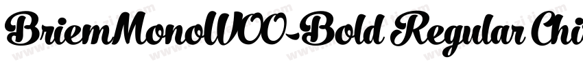 BriemMonoW00-Bold Regular Chisel No字体转换